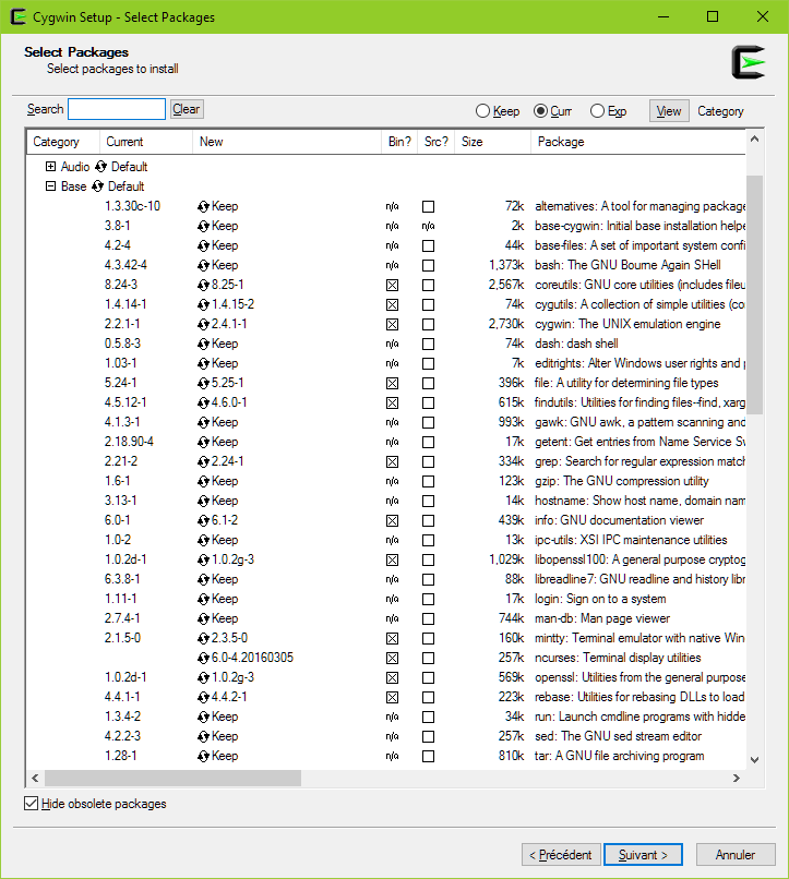 Cygwin setup